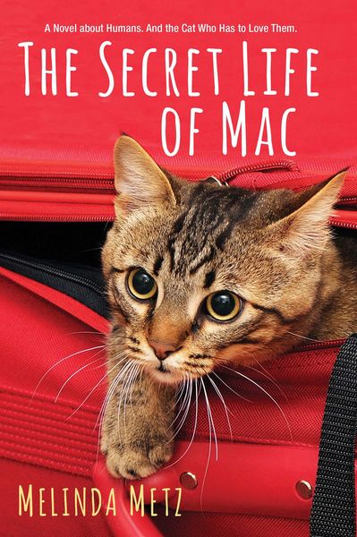 Produktbild: The Secret Life of Mac