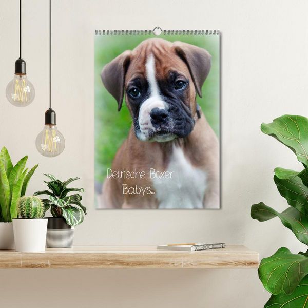 Produktbild: Deutsche Boxer Babys... (Wandkalender 2026 DIN A3 hoch), CALVENDO Monatskalender