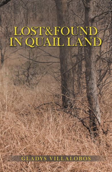 Produktbild: Lost&Found in Quail Land