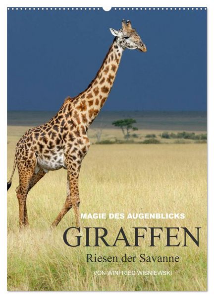Magie des Augenblicks - Giraffen - Riesen der Savanne (Wandkalender 2026 DIN A2 hoch), CALVENDO Monatskalender