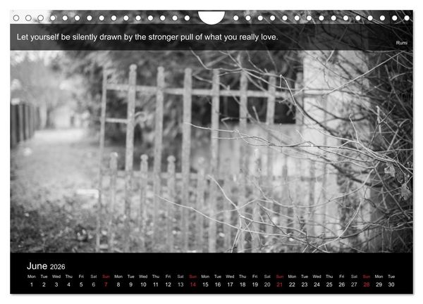 Produktbild: Through the Gate with Rumi (Wall Calendar 2026 DIN A4 landscape), CALVENDO 12 Month Wall Calendar