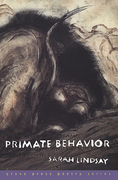 Produktbild: Primate Behavior