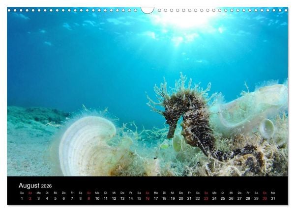 Produktbild: WILD - Tierkalender 2026 (Wandkalender 2026 DIN A3 quer), CALVENDO Monatskalender