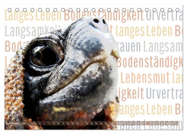 Produktbild: Mein wildes Krafttier und seine spirituellen Werte. (Tischkalender 2026 DIN A5 quer), CALVENDO Monatskalender