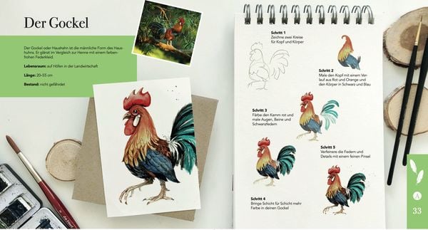 Produktbild: Heimische Vögel zeichnen und aquarellieren