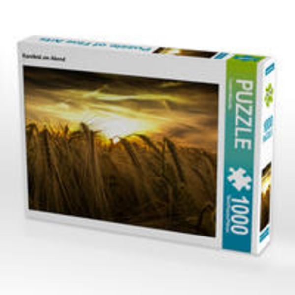 CALVENDO Puzzle Kornfeld am Abend 1000 Teile Lege-Größe 64 x 48 cm Foto-Puzzle Bild von Torsten Mitschke