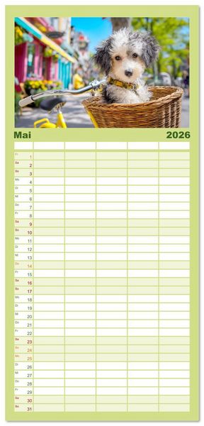 Produktbild: Familienplaner 2026 - Pudel in der Stadt. Urbane Momente voller Charme und Lebensfreude mit 5 Spalten (Wandkalender, 21 x 45 cm) CALVENDO