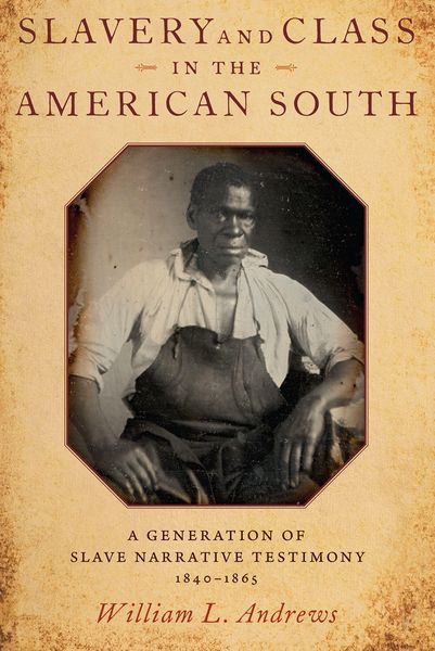Produktbild: Slavery and Class in the American South