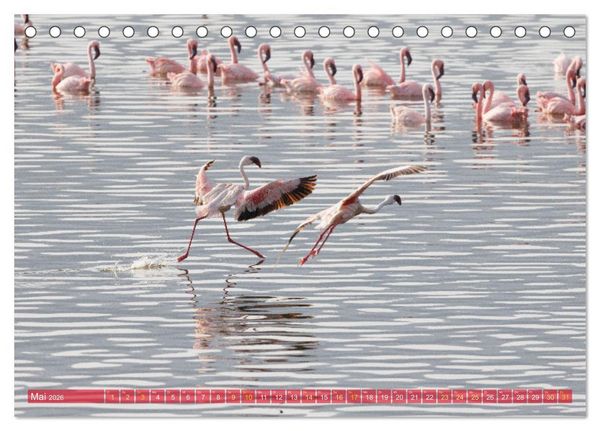Produktbild: Flamingos am Lake Bogoria - Kenia (Tischkalender 2026 DIN A5 quer), CALVENDO Monatskalender