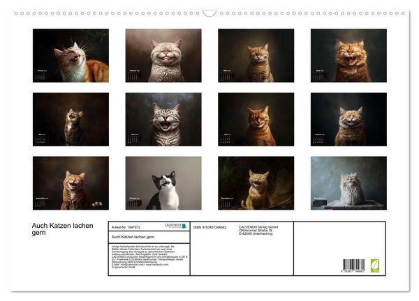 Produktbild: Auch Katzen lachen gern (Wandkalender 2026 DIN A2 quer), CALVENDO Monatskalender