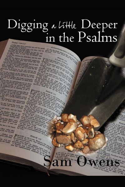 Produktbild: Digging a Little Deeper in the Psalms
