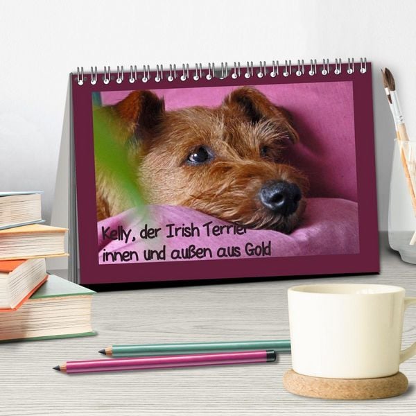 Produktbild: Kelly, der Irish Terrier - innen und au&szlig;en aus Gold (Tischkalender 2026 DIN A5 quer), CALVENDO Monatskalender