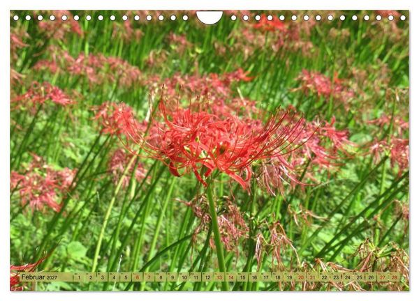 Produktbild: Die Natur Japans (Wandkalender 2027 DIN A4 quer), CALVENDO Monatskalender