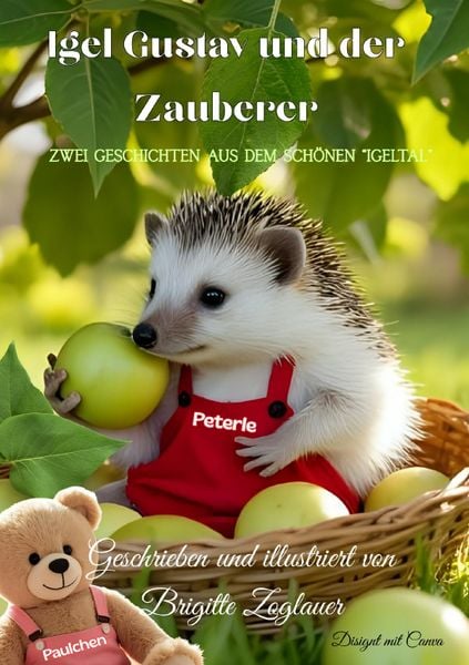 Produktbild: Igel Gustav und der Zauberer