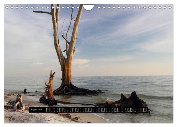 Produktbild: Florida Impressionen (Wandkalender 2026 DIN A4 quer), CALVENDO Monatskalender
