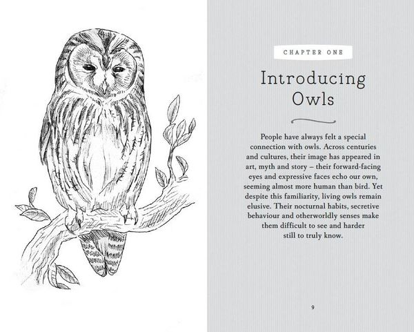 Produktbild: RSPB Pocket Book of Owls
