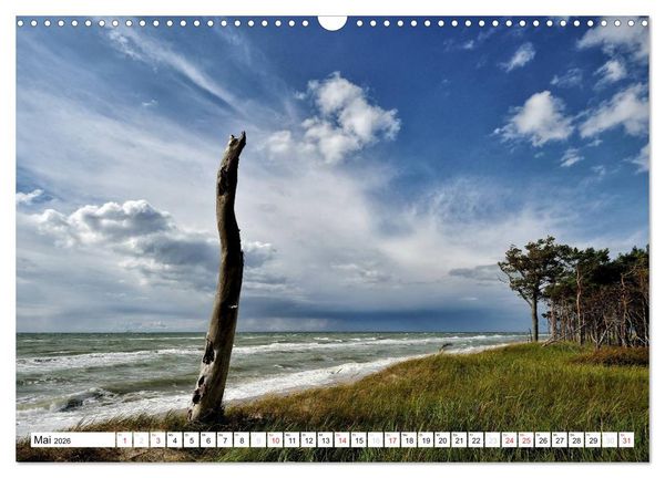 Produktbild: Naturschauspiel Dar&szlig;er Weststrand (Wandkalender 2026 DIN A3 quer), CALVENDO Monatskalender