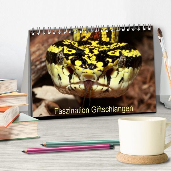 Produktbild: Faszination Giftschlangen (Tischkalender 2026 DIN A5 quer), CALVENDO Monatskalender