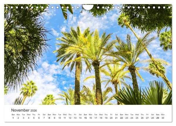Produktbild: The colorful Morocco (Wall Calendar 2026 DIN A4 landscape), CALVENDO 12 Month Wall Calendar
