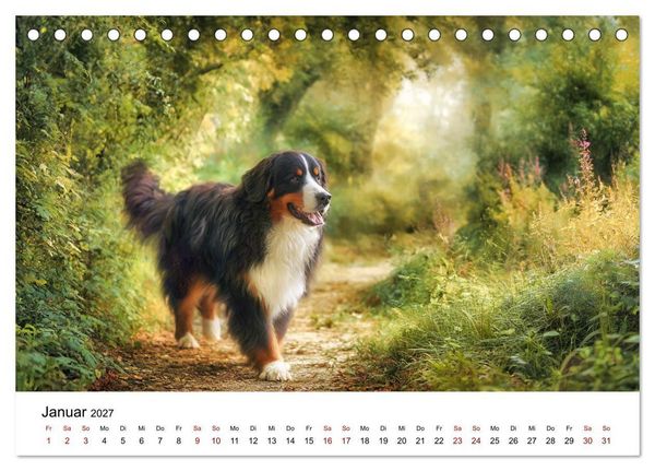Produktbild: Stolz und Sanftmut - Berner Sennenhunde (Tischkalender 2027 DIN A5 quer), CALVENDO Monatskalender