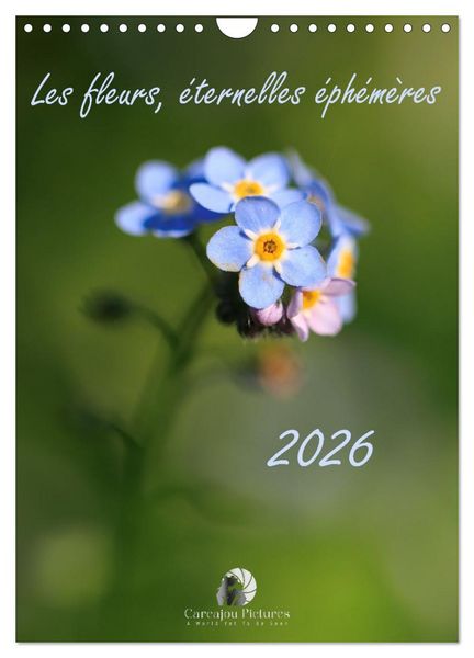Produktbild: Les fleurs, &eacute;ternelles &eacute;phem&egrave;res (Calendrier mural 2026 DIN A4 horizontal), CALVENDO calendrier mensuel