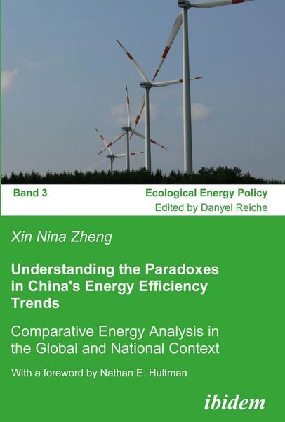 Produktbild: Understanding the Paradoxes in China's Energy Efficiency Trends