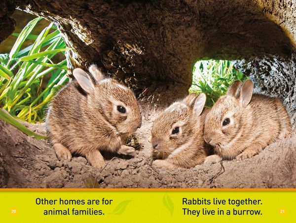 Produktbild: Animal Homes (National Geographic Kids Readers, Pre-Reader)