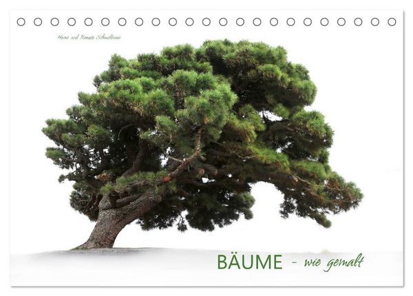 Produktbild: B&Auml;UME - wie gemalt (Tischkalender 2026 DIN A5 quer), CALVENDO Monatskalender