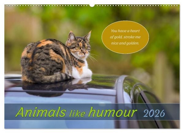Produktbild: Animals like humour (Wall Calendar 2026 DIN A2 landscape), CALVENDO 12 Month Wall Calendar
