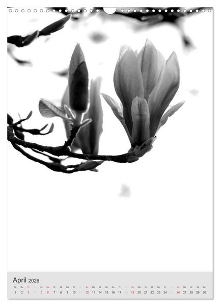 Produktbild: Monochrome Bl&uuml;ten - In Schwarz-Wei&szlig; Bildern durch das Jahr (Wandkalender 2026 DIN A3 hoch), CALVENDO Monatskalender