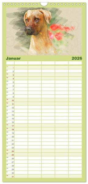 Produktbild: Familienplaner 2026 - Rhodesian Ridgeback 2026 mit 5 Spalten (Wandkalender, 21 x 45 cm) CALVENDO