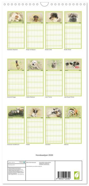 Produktbild: Familienplaner 2026 - Hundewelpen 2026 mit 5 Spalten (Wandkalender, 21 x 45 cm) CALVENDO