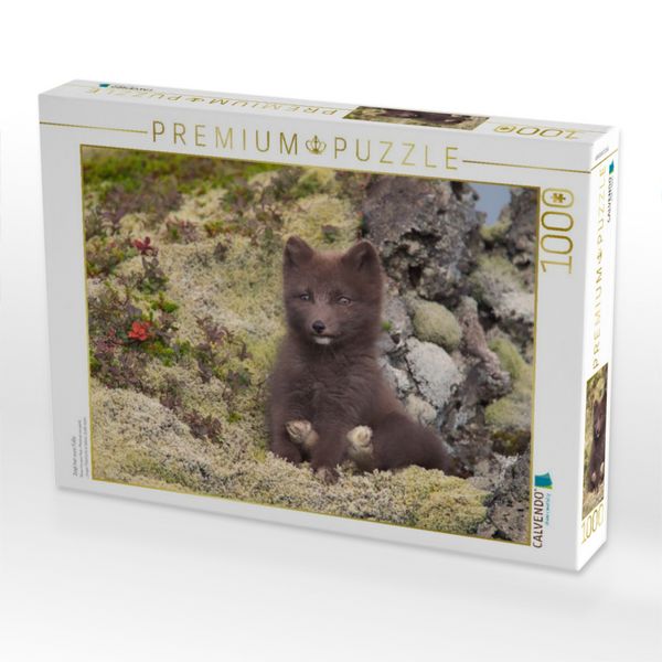Produktbild: CALVENDO Puzzle Zeigt her eure F&uuml;&szlig;e | 1000 Teile Lege-Gr&ouml;&szlig;e 64x48cm Foto-Puzzle f&uuml;r gl&uuml;ckliche Stunden