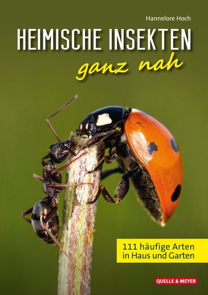 Produktbild: Heimische Insekten ganz nah