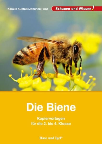 Die Biene – Kopiervorlagen für die 2. bis 4. Klasse, Taschenbuch von Karolin Küntzel,Johanna Prinz, Hase und Igel Verlag, 978-3-86760-955-5