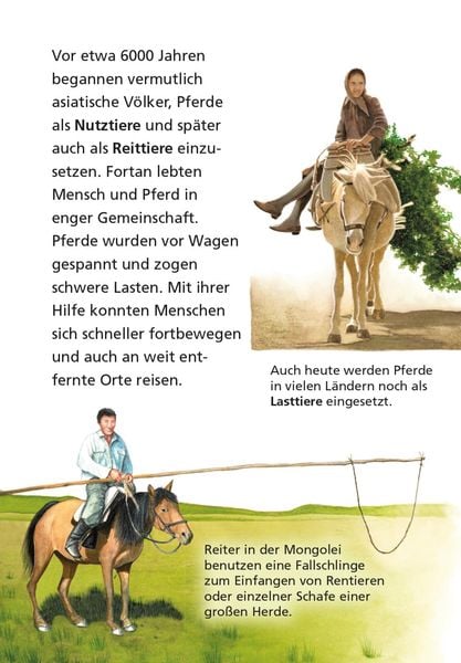 Produktbild: Pixi Wissen 1: Pferde und Ponys