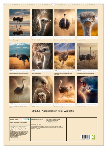 Produktbild: Strau&szlig;e - Augenblicke in freier Wildbahn (Wandkalender 2026 DIN A2 hoch), CALVENDO Monatskalender