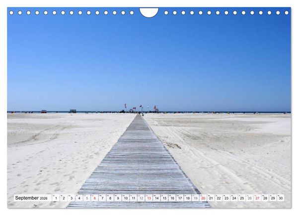 Produktbild: Amrum &ndash; Trauminsel in der Nordsee (Wandkalender 2026 DIN A4 quer), CALVENDO Monatskalender