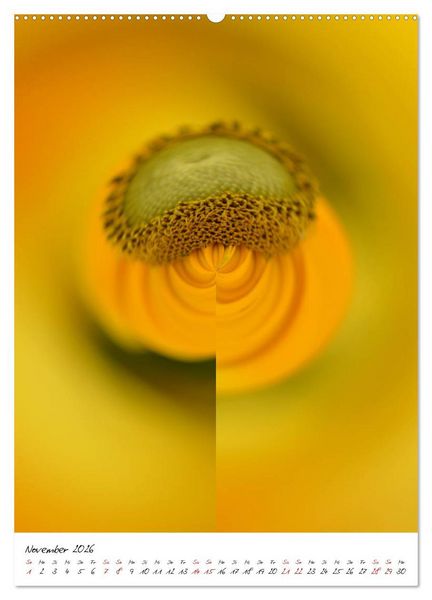 Produktbild: Durchschnittlich - Verzauberte Flora (Wandkalender 2026 DIN A2 hoch), CALVENDO Monatskalender
