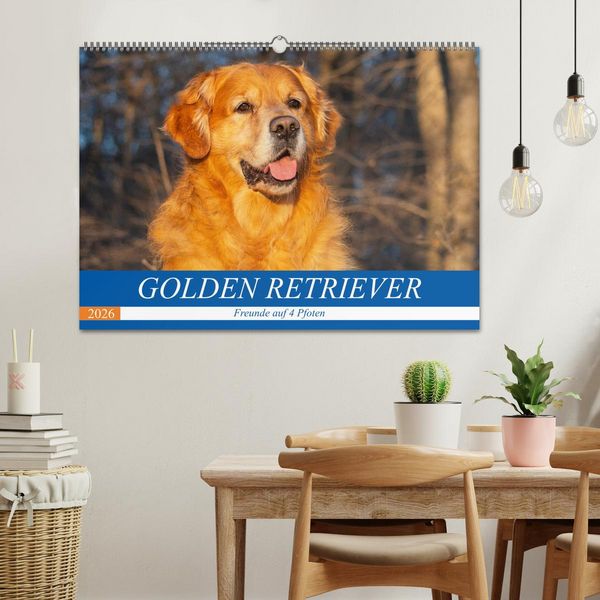 Produktbild: Golden Retriever - Freunde auf 4 Pfoten (Wandkalender 2026 DIN A2 quer), CALVENDO Monatskalender