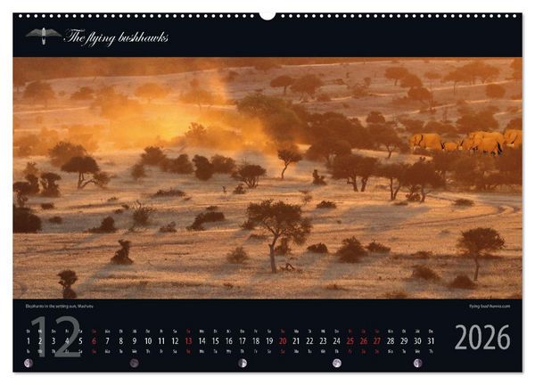 Produktbild: Botswana Blickwinkel 2026 (hochwertiger Premium Wandkalender 2026 DIN A2 quer), Kunstdruck in Hochglanz