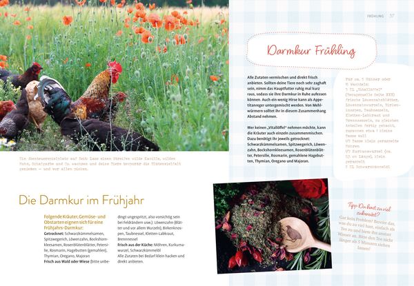 Produktbild: Was sucht das Huhn im Kr&auml;uterbeet?