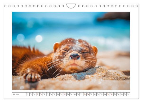 Produktbild: Kleine freche Nerze (Wandkalender 2026 DIN A4 quer), CALVENDO Monatskalender