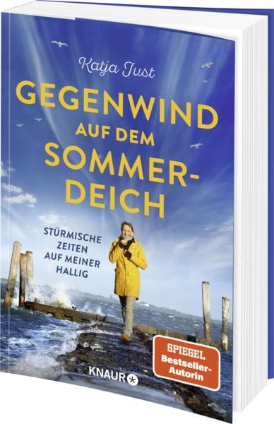 Produktbild: Gegenwind auf dem Sommerdeich