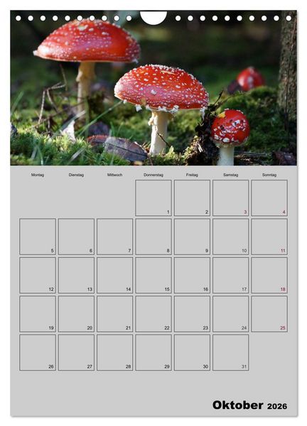 Produktbild: Zeitgewinn (Mein Terminplaner) (Wandkalender 2026 DIN A4 hoch), CALVENDO Monatskalender