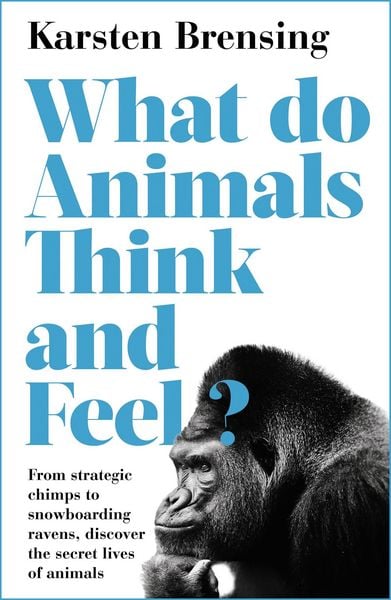 Produktbild: What Do Animals Think and Feel?