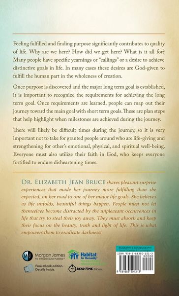 Produktbild: The Undeniable Favor of God