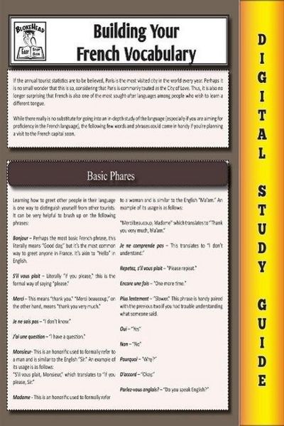 Produktbild: French Vocabulary (Blokehead Easy Study Guide)