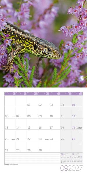 Produktbild: Gartenfreunde Kalender 2027 - 30x30 - Art12