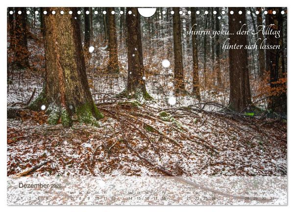 Produktbild: Shinrin yoku - Waldbaden 2026 (Wandkalender 2026 DIN A4 quer), CALVENDO Monatskalender